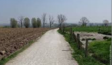 WULVERGEM - LE BOIS DE LA HUTTE-BELGIQUE-belgique