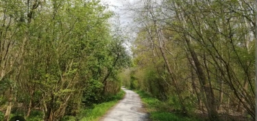 MESSINES - LE BOIS DE PLOEGSTEERT-BELGIQUE-belgique