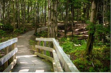 VTT MARTUé -BELGIQUE-belgique