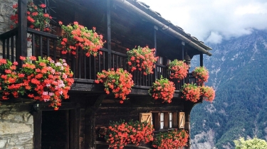 ITALIA - SALECCHIO (WALSER)-italie