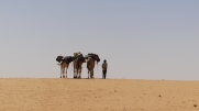 MAURITANIE - RANDONNEE DES 4 OUEDS DANS LE DESERT DE  L ADRAR PRES DE CHINGUETT-reste-du-monde