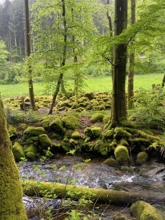 ALLEMAGNE - CASCADES DE GEROLDSAU-reste-du-monde