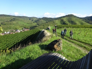 BALADE EN FORêT NOIRE, MASSIF VITICOLE DU KAISERSTUHL ET BRASSERIE ROTHAUS-reste-du-monde