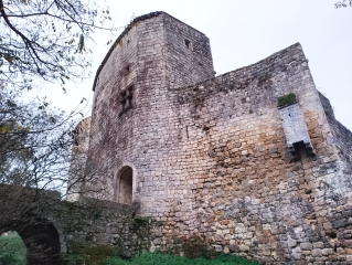 LE TOURNE - LANGOIRAN - BOUCLE 8 - CDC PORTES DE L ENTRE DEUX MERS-gironde
