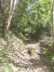 LATRESNE, CENAC - CAMBLANES - -BOUCLE 1 CDC LES PORTES DE L ENTRE DEUX MERS-gironde