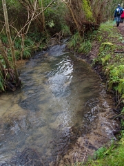 MEYNAC-QUINSAC-BOUCLE 4 CDC-PORTES DE L’ENTRE-DEUX-MERS-gironde