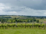 SAINTE-FOY-LA-LONGUE-gironde