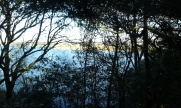 BOUCLE DE L ETANG DE COUSSEAU-gironde