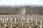 EYRANS 10 KM-gironde