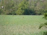 LAC DES DAGUEYS PAR LES BILLAUX 17KM-gironde