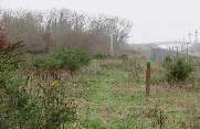 CAVIGNAC - MARCENAIS - BOUCLE DE 15.8 KM-gironde