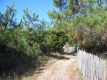 POINTE DU CAP FERRET-gironde