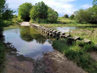 SAINT-HILAIRE-DE-BEAUVOIR - BALADE CHAMPETRE AVEC GUES SUR LA BENOVIE-herault