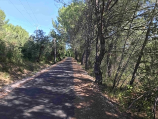 SAINT-GENIèS-DES-MOURGUES – SENTIERS SOUS LES BOIS (SUD) PUIS VIGNOBLES (NOR-herault