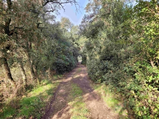 SAINT-DRéZéRY - ENTRE VIGNES & FORêT-herault