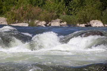 LA BOURGUE ROUGE - BOIS DE VEYRAN-herault