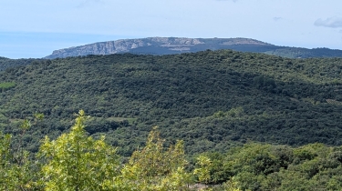 HEREPIAN: LA VALLEE DES AROMES-herault