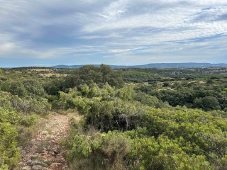 MURVIEL - CALME, PANORAMAS ET 2 ASCENSIONS ABRUPTES-herault