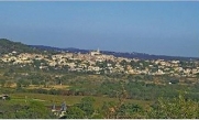 LA GARRIGUE CAZOULINE-herault