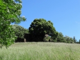 LE TOUR DU FAGEAS-herault