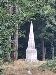 FORêT DE LOCHES- INDRE ET LOIRE-indre-et-loire