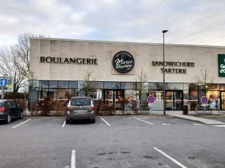 RANDONNéE à SAINT-CYR-SUR-LOIRE NORD (37540) DéCOUVERTE D’ARBRES MAJESTUEU-indre-et-loire