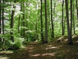 HAUT BIOL-isere