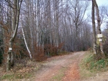 FLACHERES-isere