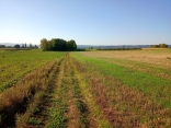 BOURGOIN -  PAR LE BOI DE AGNEAUX-isere