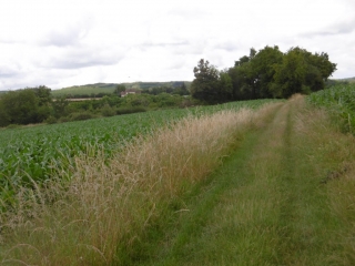 SAINT AGNIN SUR BION - ETANG RIBOUD-isere