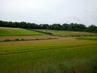 VILLEFONTAINE - PAR LE BOIS DE CHARAFEUILLE-isere