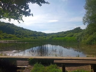 CHOZEAU 38- ETANG DE CHALIGNIEU-isere