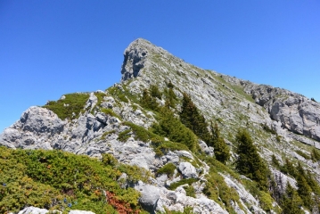 PAS DE LA SUIFFIéRE ET COL DE BOVINANT-isere