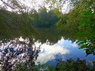 SAINT AGNIN SUR BION 38 - ETANG DU GRAND PRé-isere