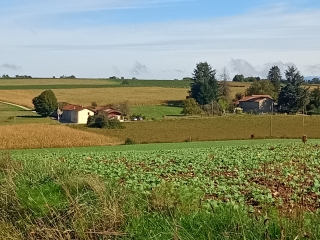 BOURGOIN 38 - PAR LE BOIS DE LA CASSE-isere