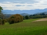 SAINT PIERRE DE BRESSIEUX 38 - PAR LE BOIS LES FOUILLOUSES-isere