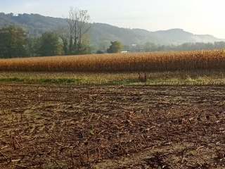 SEREZIN DE LA TOUR 38 - PAR LA POUDRIèRE-isere