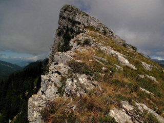 PINEA SUD + VERMOREL ATHLéTIQUE-isere