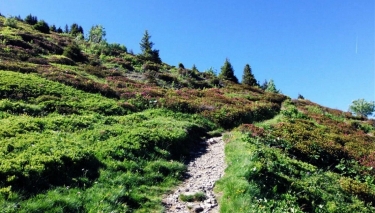 DE COMBOURSIERE AU LAC BROUFFIER-isere