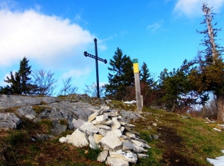 vercors - DES NARCES AU GROS MARTEL