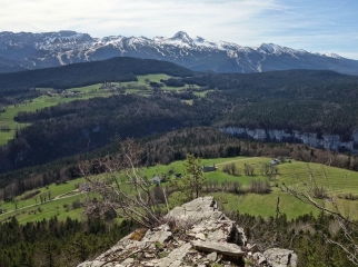 DES NARCES AU GROS MARTEL-isere