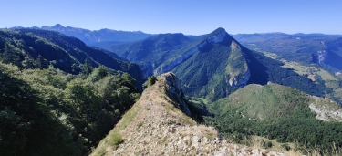 vercors - GONSON & MARTEL