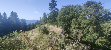 GONSON & MARTEL-isere