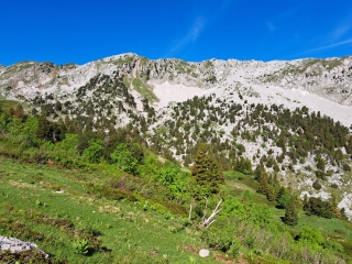 RANDONNéE EN CHARTREUSE LA GRANDE SURE