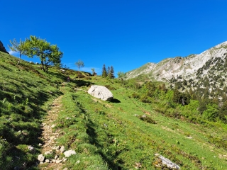 RANDONNéE EN CHARTREUSE LA GRANDE SURE-isere