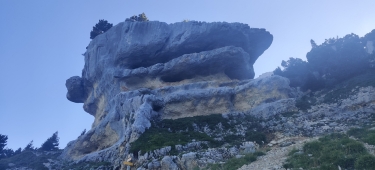 chartreuse - SOUS LE CANYON & PAS DU CHAMOIS
