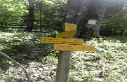 BELVEDERE DE NONNE-isere