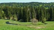 ROCHE DU CREUX-jura