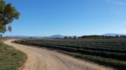 LE CASTELLET - ENTREVENNES-alpes-de-haute-provence