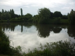 SARAN - RANDONNEE DES ETANGS-loiret